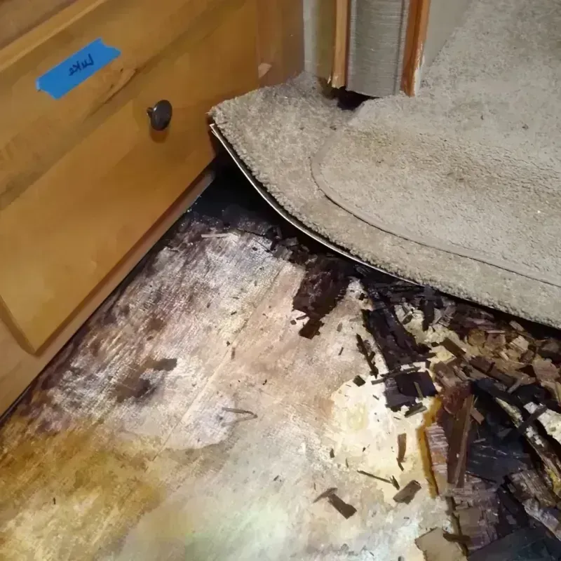 Wood Floor Water Damage in Malibu, CA